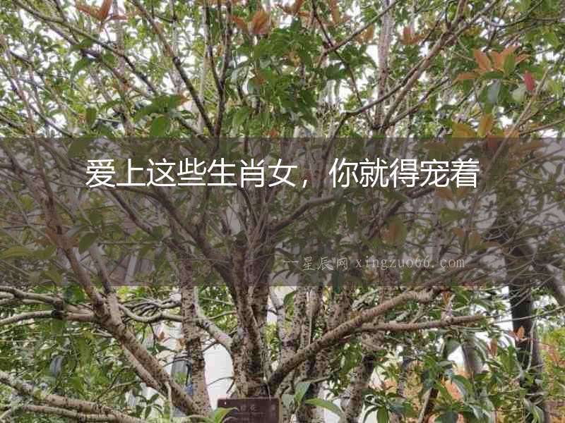 愛上這些生肖女，你就得寵著