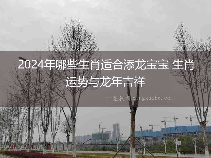 2024年哪些生肖適合添龍寶寶 生肖運勢與龍年吉祥