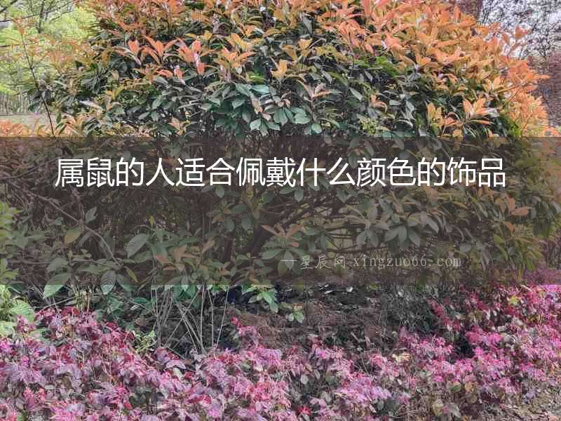 屬鼠的人適合佩戴什么顏色的飾品