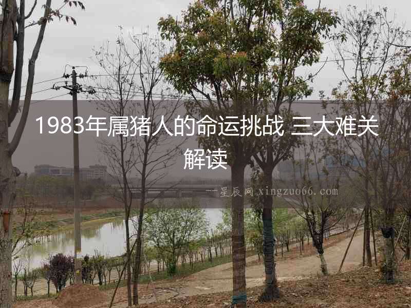 1983年屬豬人的命運挑戰(zhàn) 三大難關解讀