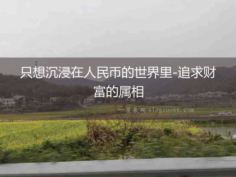只想沉浸在人民幣的世界里-追求財富的屬相