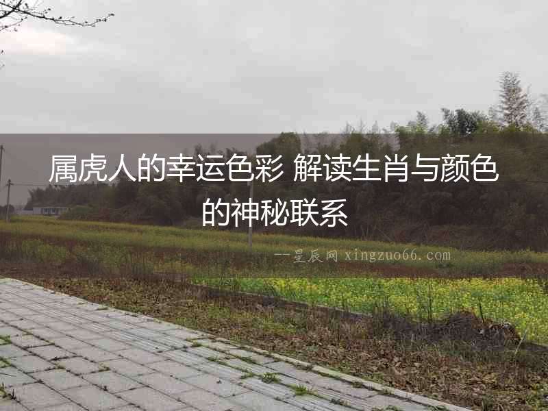 屬虎人的幸運色彩 解讀生肖與顏色的神秘聯系