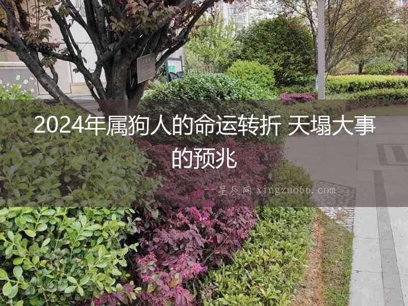 2024年屬狗人的命運轉折 天塌大事的預兆