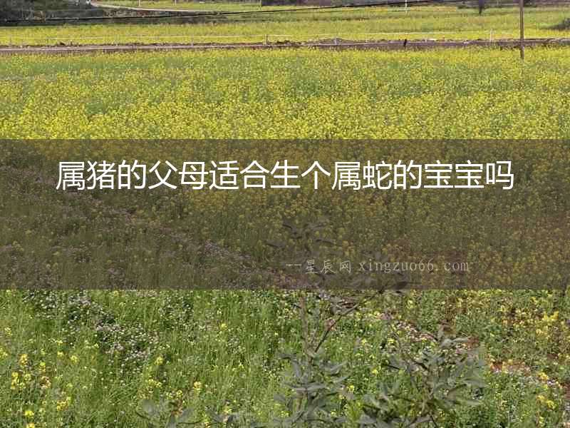 屬豬的父母適合生個屬蛇的寶寶嗎