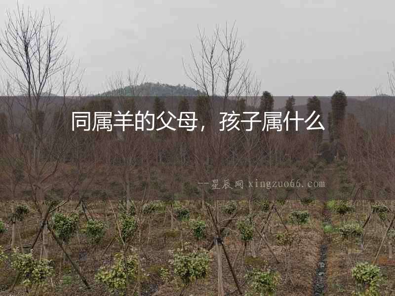 同屬羊的父母，孩子屬什么