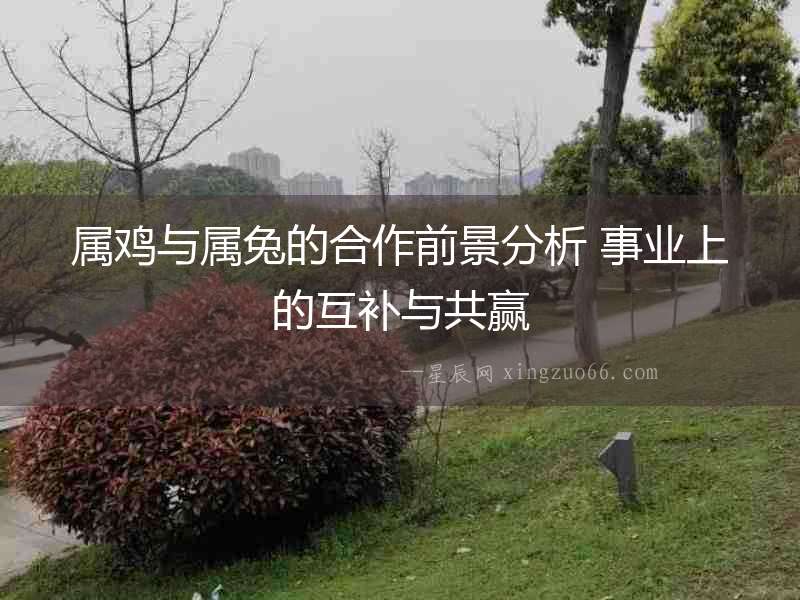 屬雞與屬兔的合作前景分析 事業(yè)上的互補(bǔ)與共贏