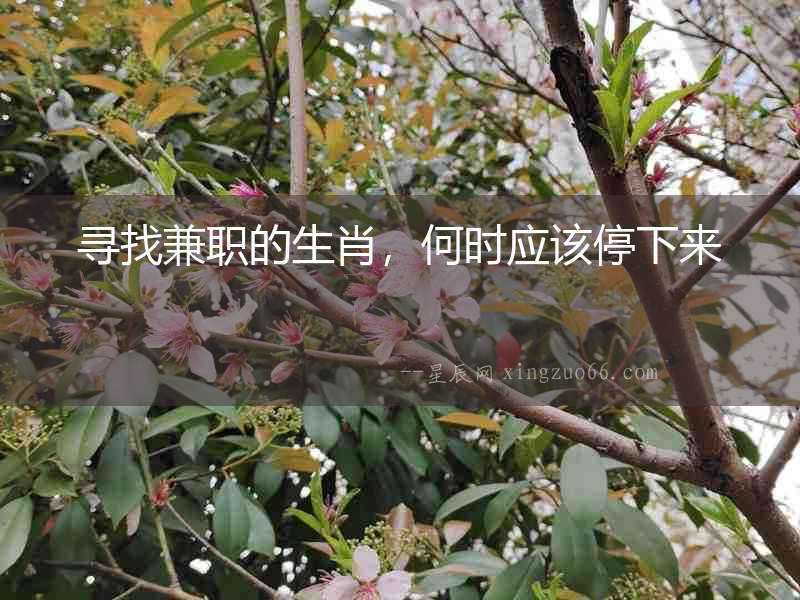 尋找兼職的生肖，何時應該停下來