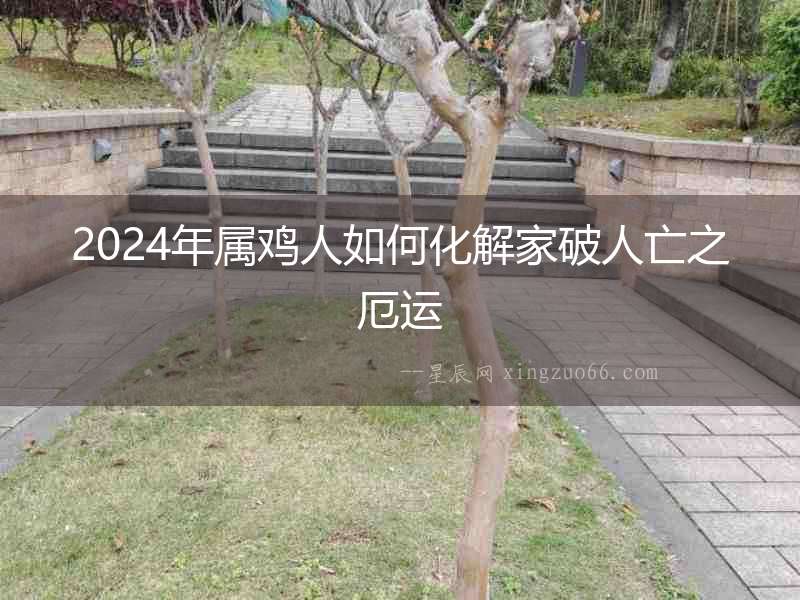 2024年屬雞人如何化解家破人亡之厄運