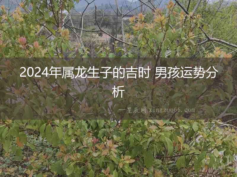 2024年屬龍生子的吉時 男孩運勢分析