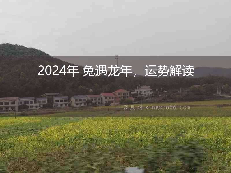 2024年 兔遇龍年，運勢解讀