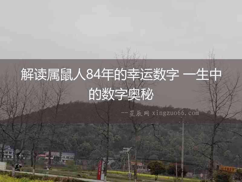 解讀屬鼠人84年的幸運數字 一生中的數字奧秘