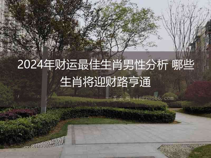 2024年財運最佳生肖男性分析 哪些生肖將迎財路亨通