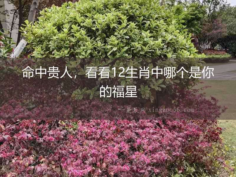 命中貴人，看看12生肖中哪個是你的福星