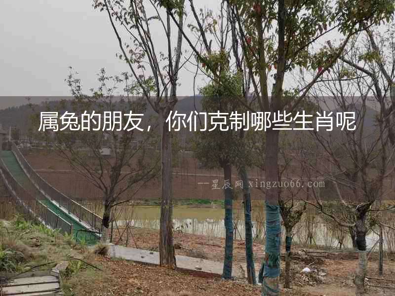 屬兔的朋友，你們克制哪些生肖呢
