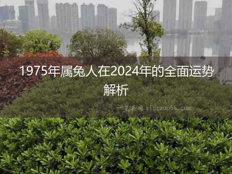 1975年屬兔人在2024年的全面運勢解析