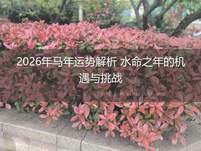 2026年馬年運(yùn)勢(shì)解析 水命之年的機(jī)遇與挑戰(zhàn)