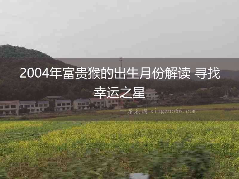 2004年富貴猴的出生月份解讀 尋找幸運之星