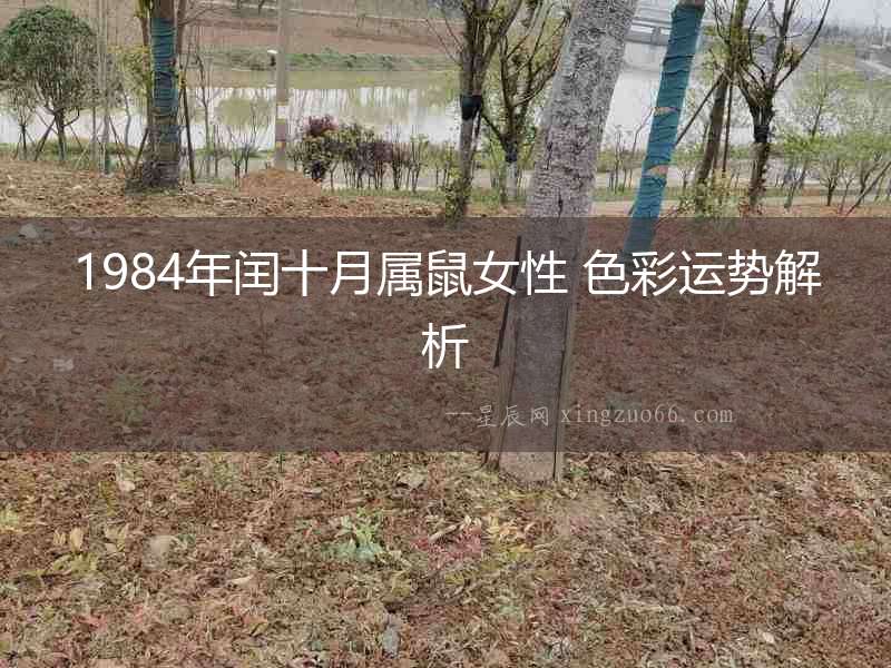 1984年閏十月屬鼠女性 色彩運(yùn)勢解析