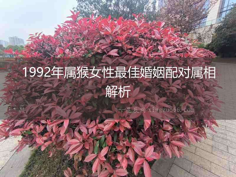 1992年屬猴女性最佳婚姻配對屬相解析