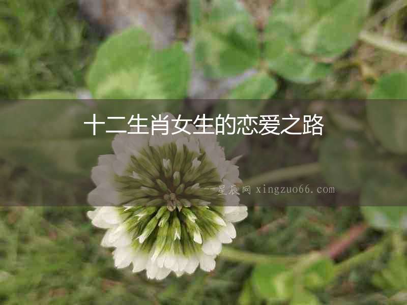 十二生肖女生的戀愛之路