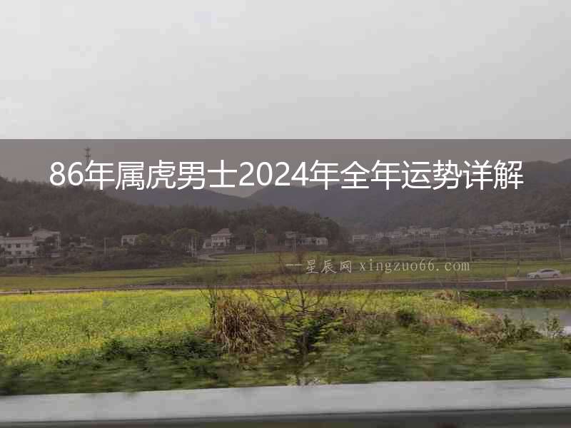 86年屬虎男士2024年全年運勢詳解