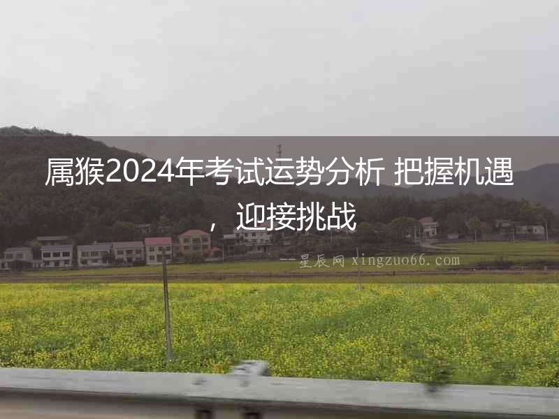 屬猴2024年考試運勢分析 把握機遇，迎接挑戰