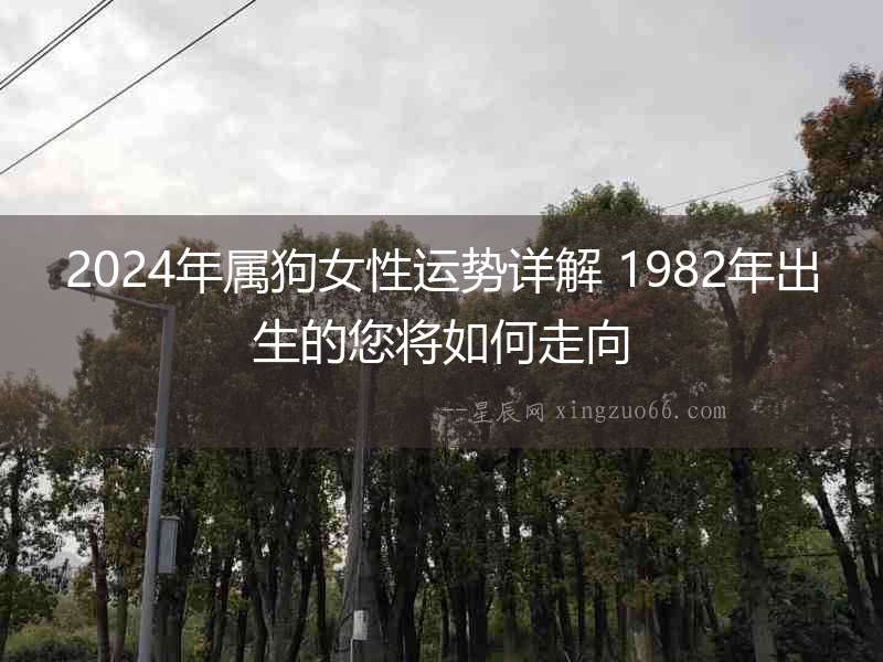 2024年屬狗女性運勢詳解 1982年出生的您將如何走向