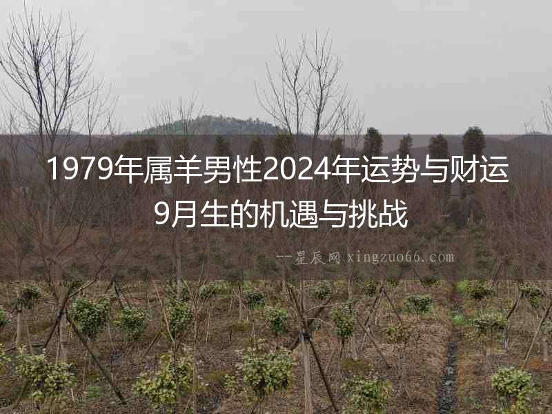 1979年屬羊男性2024年運勢與財運 9月生的機遇與挑戰