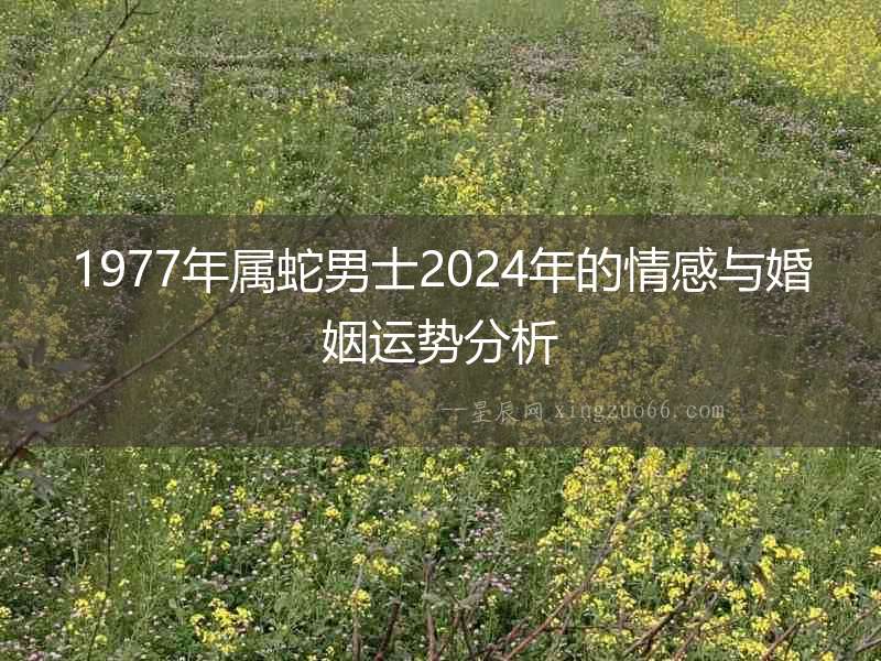 1977年屬蛇男士2024年的情感與婚姻運勢分析