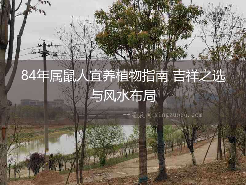 84年屬鼠人宜養植物指南 吉祥之選與風水布局