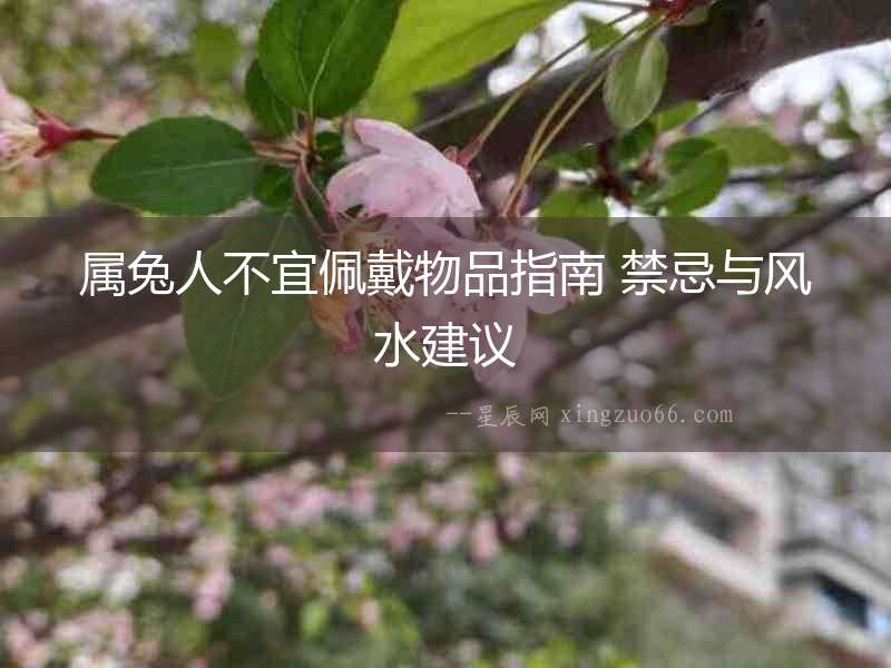 屬兔人不宜佩戴物品指南 禁忌與風水建議