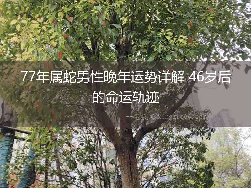 77年屬蛇男性晚年運勢詳解 46歲后的命運軌跡