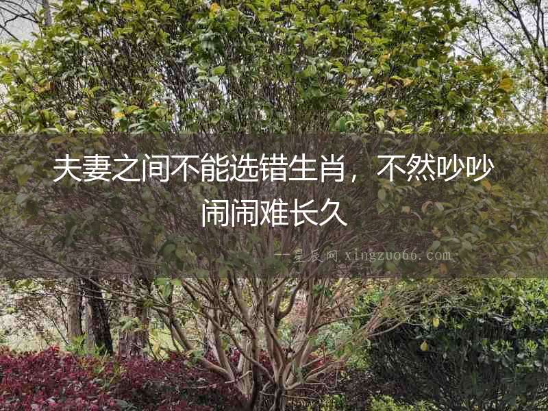 夫妻之間不能選錯生肖，不然吵吵鬧鬧難長久