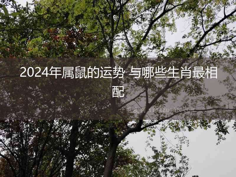2024年屬鼠的運(yùn)勢 與哪些生肖最相配