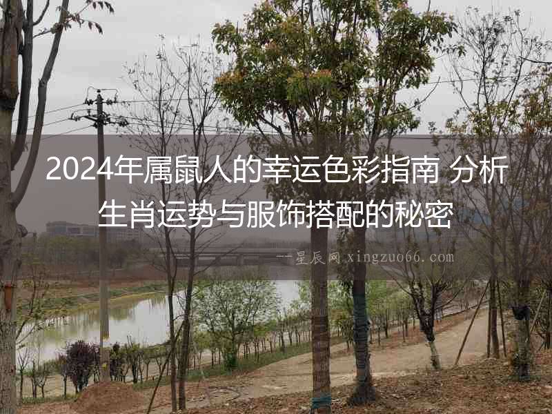 2024年屬鼠人的幸運色彩指南 分析生肖運勢與服飾搭配的秘密