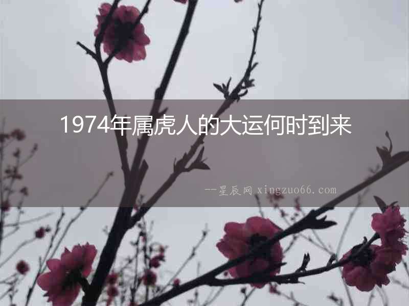 1974年屬虎人的大運何時到來