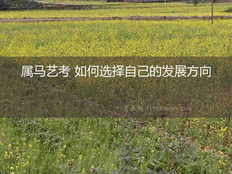 屬馬藝考 如何選擇自己的發展方向