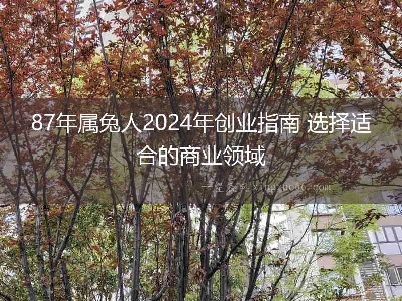 87年屬兔人2024年創業指南 選擇適合的商業領域
