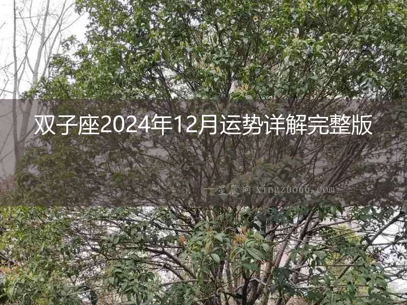 雙子座2024年12月運勢詳解完整版