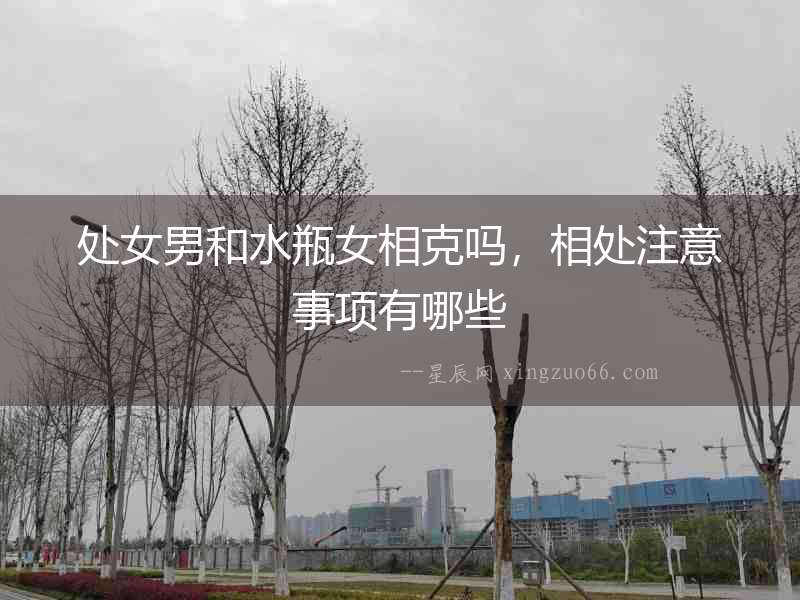 處女男和水瓶女相克嗎，相處注意事項有哪些
