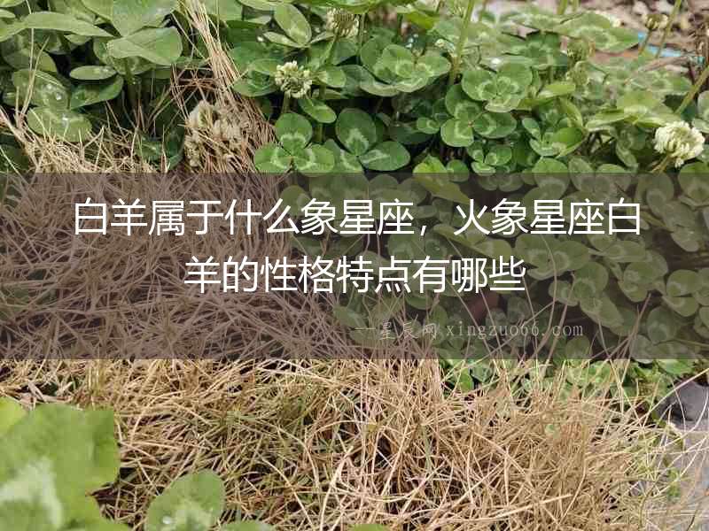白羊屬于什么象星座，火象星座白羊的性格特點有哪些