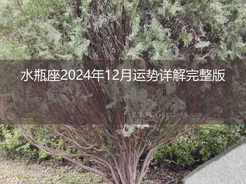 水瓶座2024年12月運勢詳解完整版