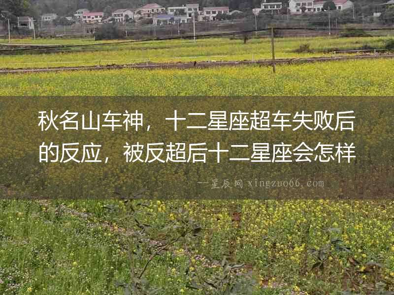 秋名山車神，十二星座超車失敗后的反應，被反超后十二星座會怎樣