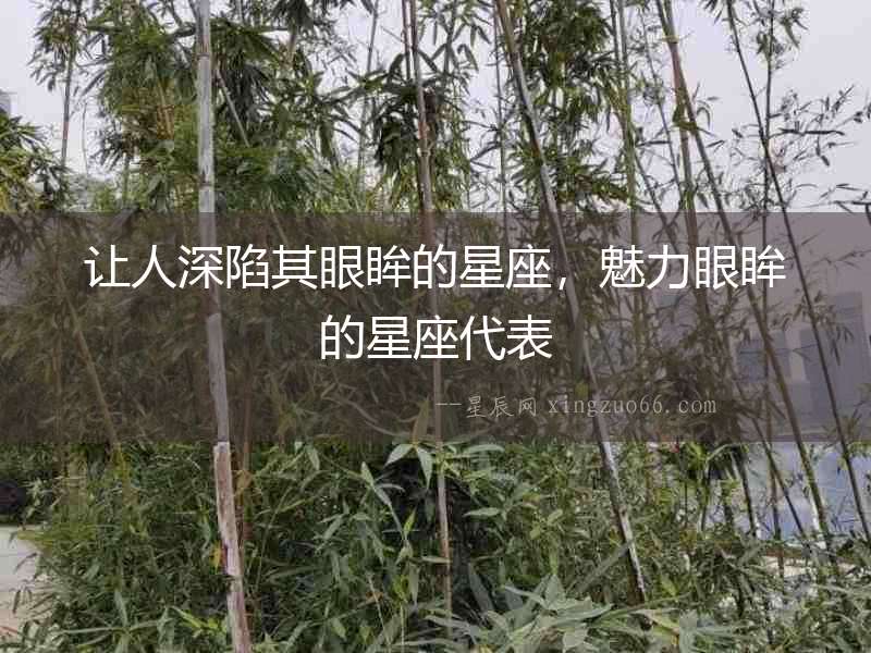 讓人深陷其眼眸的星座，魅力眼眸的星座代表