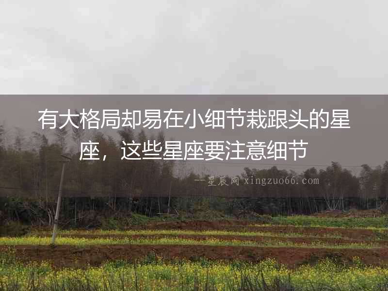 有大格局卻易在小細節(jié)栽跟頭的星座，這些星座要注意細節(jié)