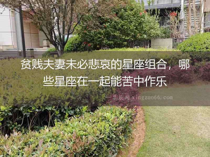 貧賤夫妻未必悲哀的星座組合，哪些星座在一起能苦中作樂
