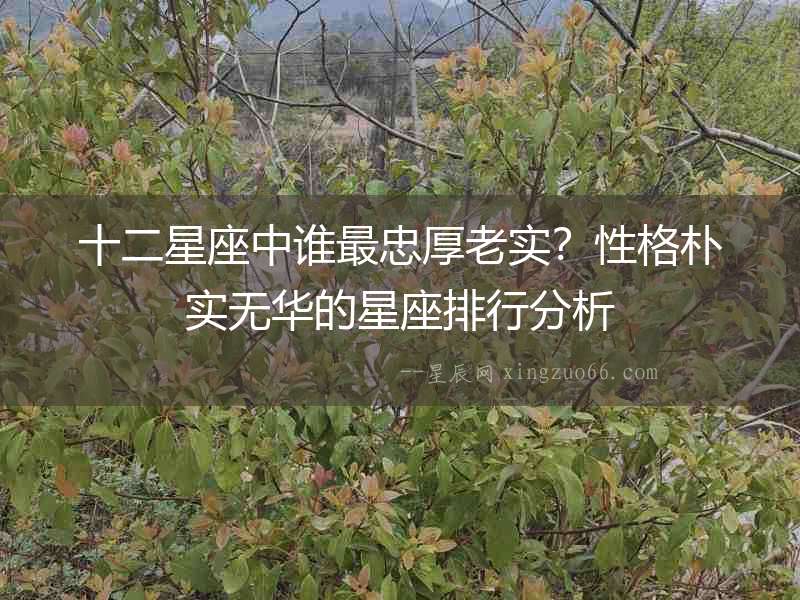 十二星座中誰最忠厚老實？性格樸實無華的星座排行分析