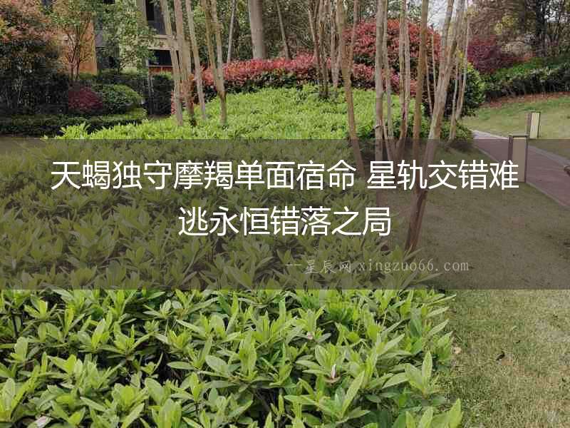 天蝎獨(dú)守摩羯單面宿命 星軌交錯(cuò)難逃永恒錯(cuò)落之局
