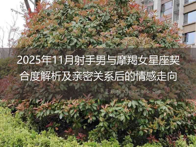 2025年11月射手男與摩羯女星座契合度解析及親密關系后的情感走向