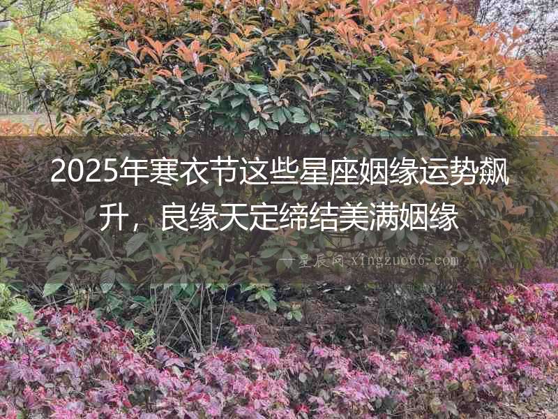 2025年寒衣節這些星座姻緣運勢飆升，良緣天定締結美滿姻緣